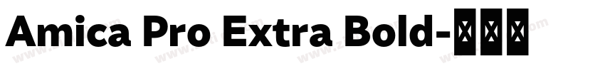 Amica Pro Extra Bold字体转换 Amica Pro Extra Bold字体转换